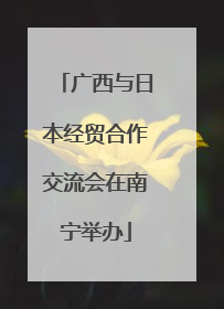 广西与日本经贸合作交流会在南宁举办