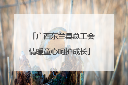 广西东兰县总工会情暖童心呵护成长