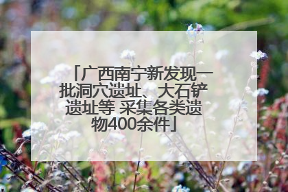 广西南宁新发现一批洞穴遗址、大石铲遗址等 采集各类遗物400余件