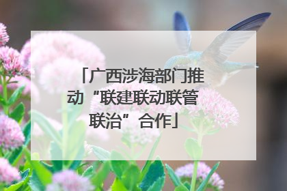 广西涉海部门推动“联建联动联管联治”合作