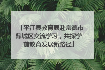 平江县教育局赴常德市鼎城区交流学习，共探学前教育发展新路径