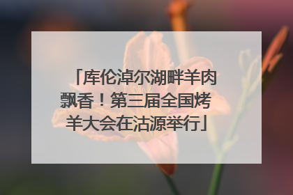 库伦淖尔湖畔羊肉飘香！第三届全国烤羊大会在沽源举行