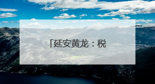 延安黄龙：税费服务“新”上加“心”