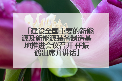 建设全国重要的新能源及新能源装备制造基地推进会议召开 任振鹤出席并讲话