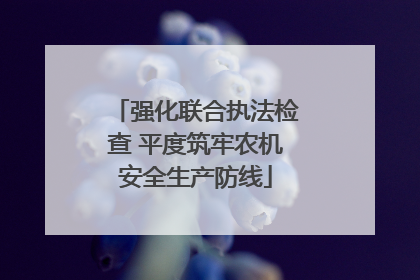 强化联合执法检查 平度筑牢农机安全生产防线