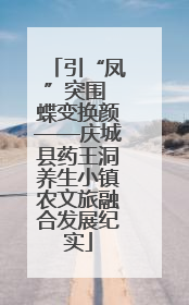 引“凤”突围 蝶变换颜——庆城县药王洞养生小镇农文旅融合发展纪实