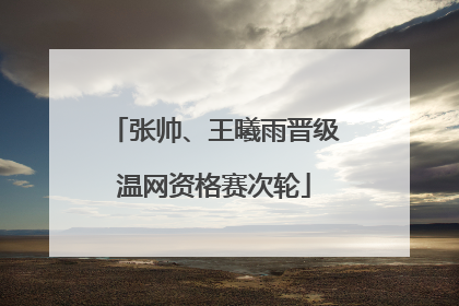 张帅、王曦雨晋级温网资格赛次轮