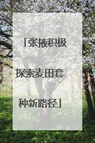 张掖积极探索麦田套种新路径