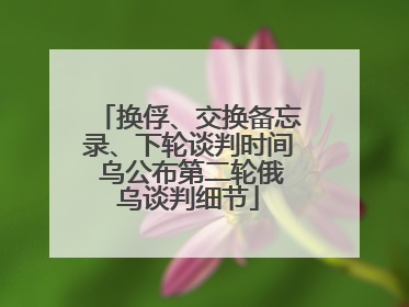 换俘、交换备忘录、下轮谈判时间 乌公布第二轮俄乌谈判细节