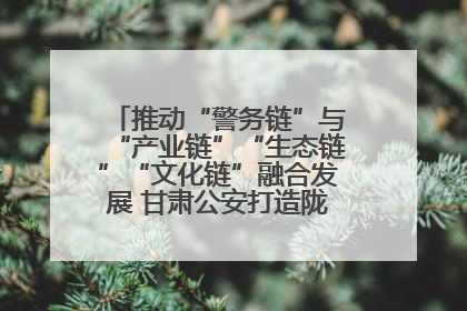 推动“警务链”与“产业链”“生态链”“文化链”融合发展 甘肃公安打造陇原旅游警务品牌