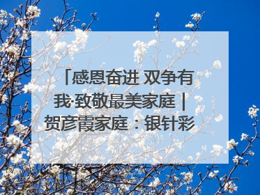 感恩奋进 双争有我·致敬最美家庭｜贺彦霞家庭：银针彩线绣出好日子