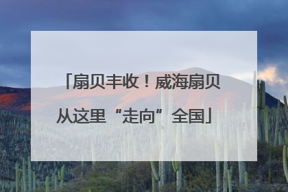 扇贝丰收！威海扇贝从这里“走向”全国