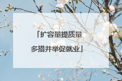 扩容量提质量 多措并举促就业