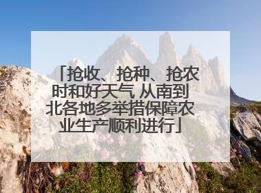 抢收、抢种、抢农时和好天气 从南到北各地多举措保障农业生产顺利进行