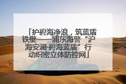 护碧海净浪，筑蓝盾铁壁——浦东海警“沪海安澜·碧海蓝盾”行动织密立体防控网