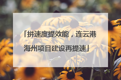拼速度提效能，连云港海州项目建设再提速