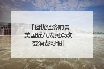 担忧经济前景 美国近八成民众改变消费习惯