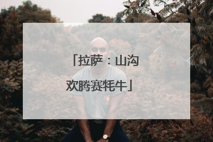 拉萨：山沟欢腾赛牦牛