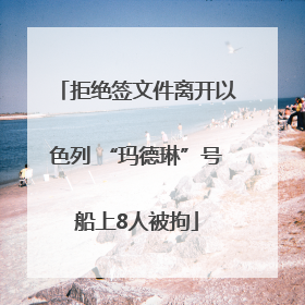 拒绝签文件离开以色列 “玛德琳”号船上8人被拘