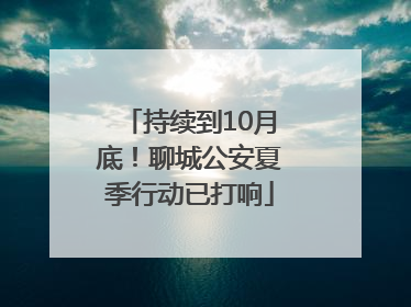 持续到10月底！聊城公安夏季行动已打响