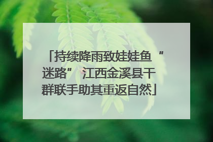持续降雨致娃娃鱼“迷路” 江西金溪县干群联手助其重返自然