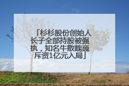 杉杉股份创始人长子全部持股被强执，知名牛散魏巍斥资1亿元入局