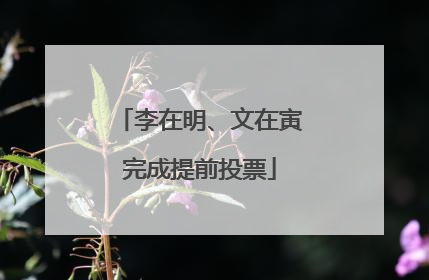 李在明、文在寅完成提前投票