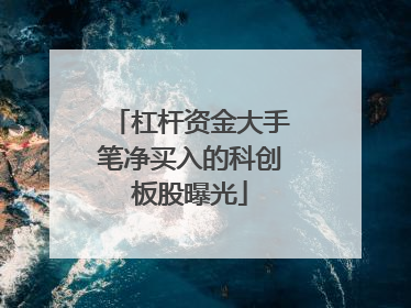 杠杆资金大手笔净买入的科创板股曝光