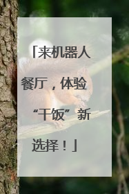 来机器人餐厅，体验“干饭”新选择！