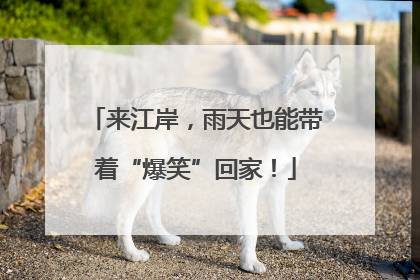 来江岸，雨天也能带着“爆笑”回家！