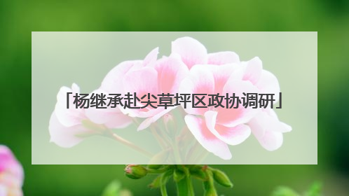 杨继承赴尖草坪区政协调研