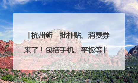 杭州新一批补贴、消费券来了！包括手机、平板等