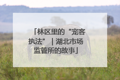 林区里的“宠客执法”｜湖北市场监管所的故事