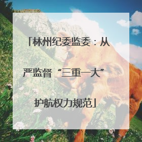 林州纪委监委：从严监督“三重一大” 护航权力规范