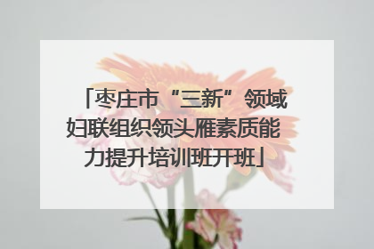 枣庄市“三新”领域妇联组织领头雁素质能力提升培训班开班