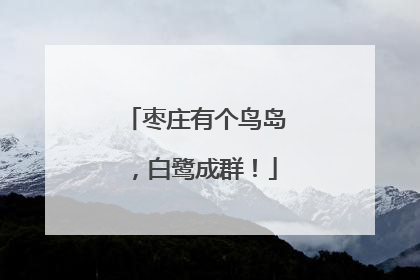 枣庄有个鸟岛，白鹭成群！