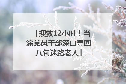 搜救12小时！当涂党员干部深山寻回八旬迷路老人