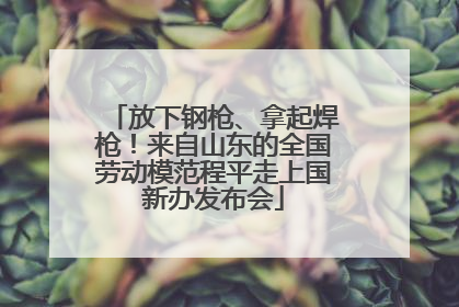 放下钢枪、拿起焊枪！来自山东的全国劳动模范程平走上国新办发布会