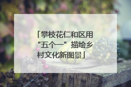 攀枝花仁和区用“五个一”描绘乡村文化新图景