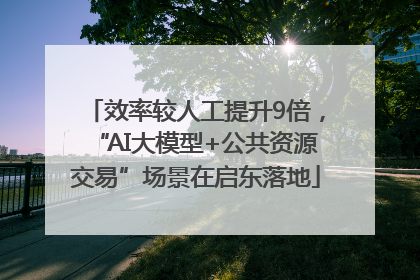 效率较人工提升9倍，“AI大模型+公共资源交易”场景在启东落地