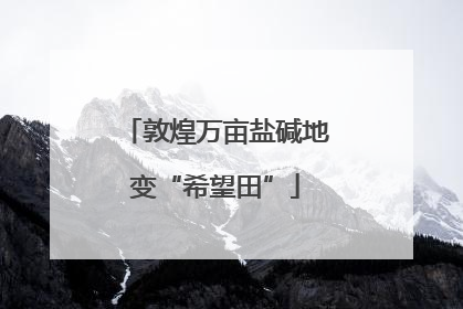 敦煌万亩盐碱地变“希望田”