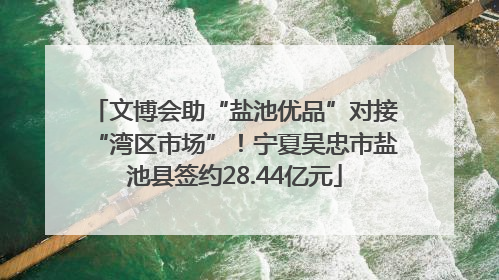 文博会助“盐池优品”对接“湾区市场”！宁夏吴忠市盐池县签约28.44亿元