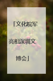 文化皖军亮相深圳文博会