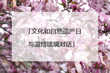 文化和自然遗产日与淄博琉璃对话
