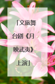 文旅舞台剧《月映武夷》上演