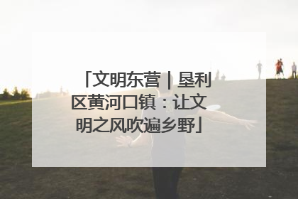 文明东营｜垦利区黄河口镇：让文明之风吹遍乡野