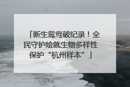 新生鸳鸯破纪录！全民守护绘就生物多样性保护“杭州样本”