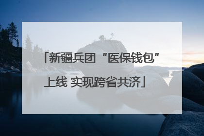 新疆兵团“医保钱包”上线 实现跨省共济