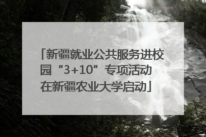 新疆就业公共服务进校园“3+10”专项活动在新疆农业大学启动