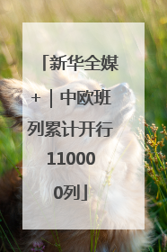新华全媒+｜中欧班列累计开行110000列